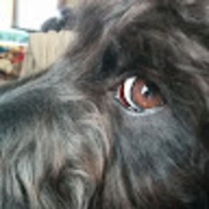 Meet your Posher, Derek